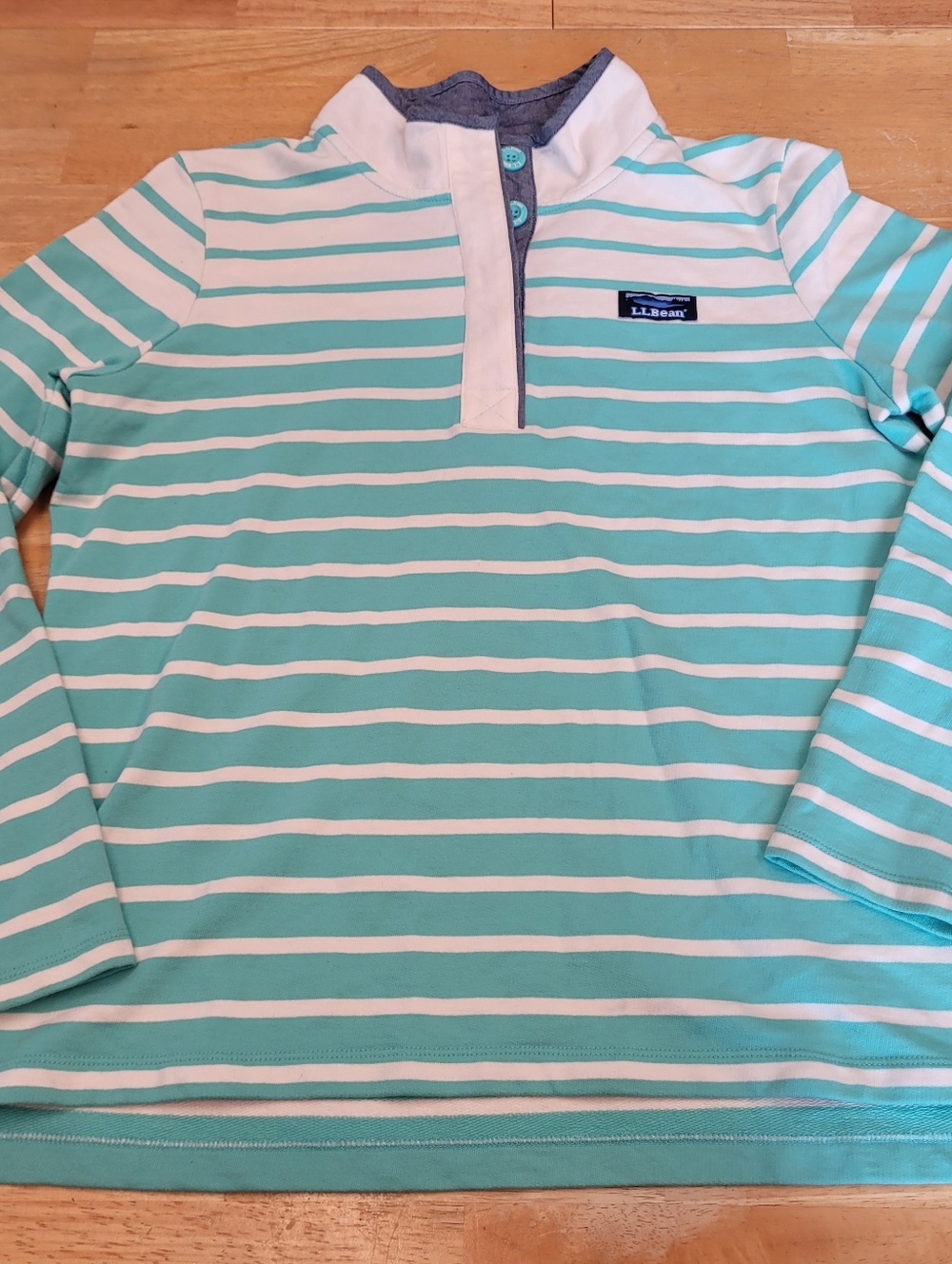L.L. Bean Sweatshirt Striped Button Collar Pullover Teal Chambray Medium